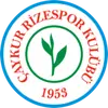 里泽体育