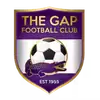 南查理斯顿布女足